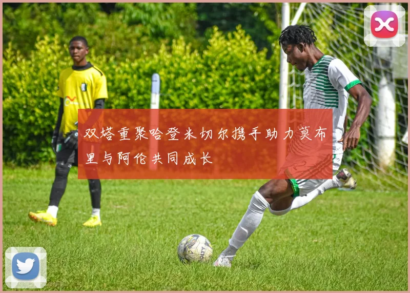 双塔重聚哈登米切尔携手助力莫布里与阿伦共同成长